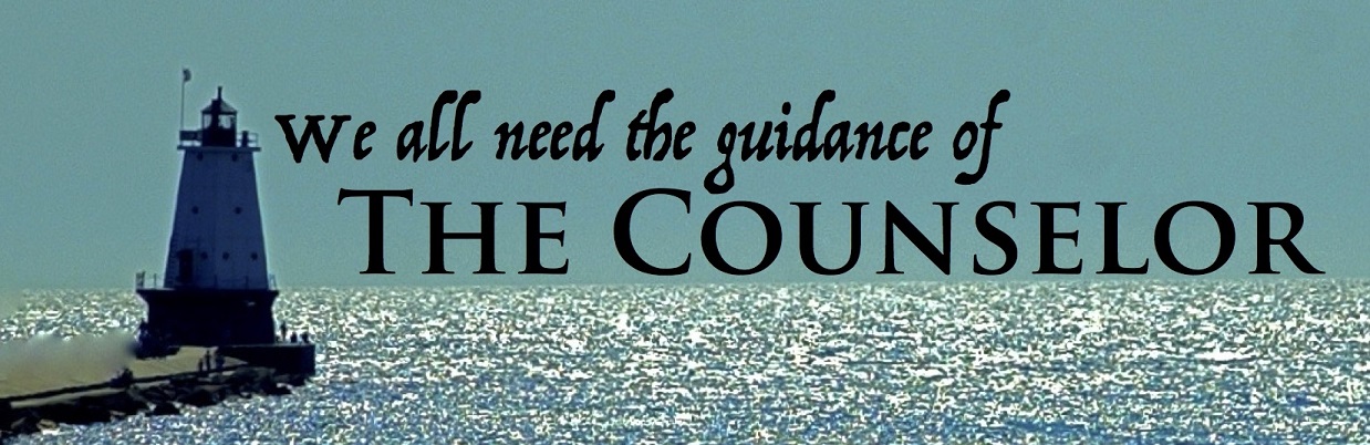 the-counselorr.jpg